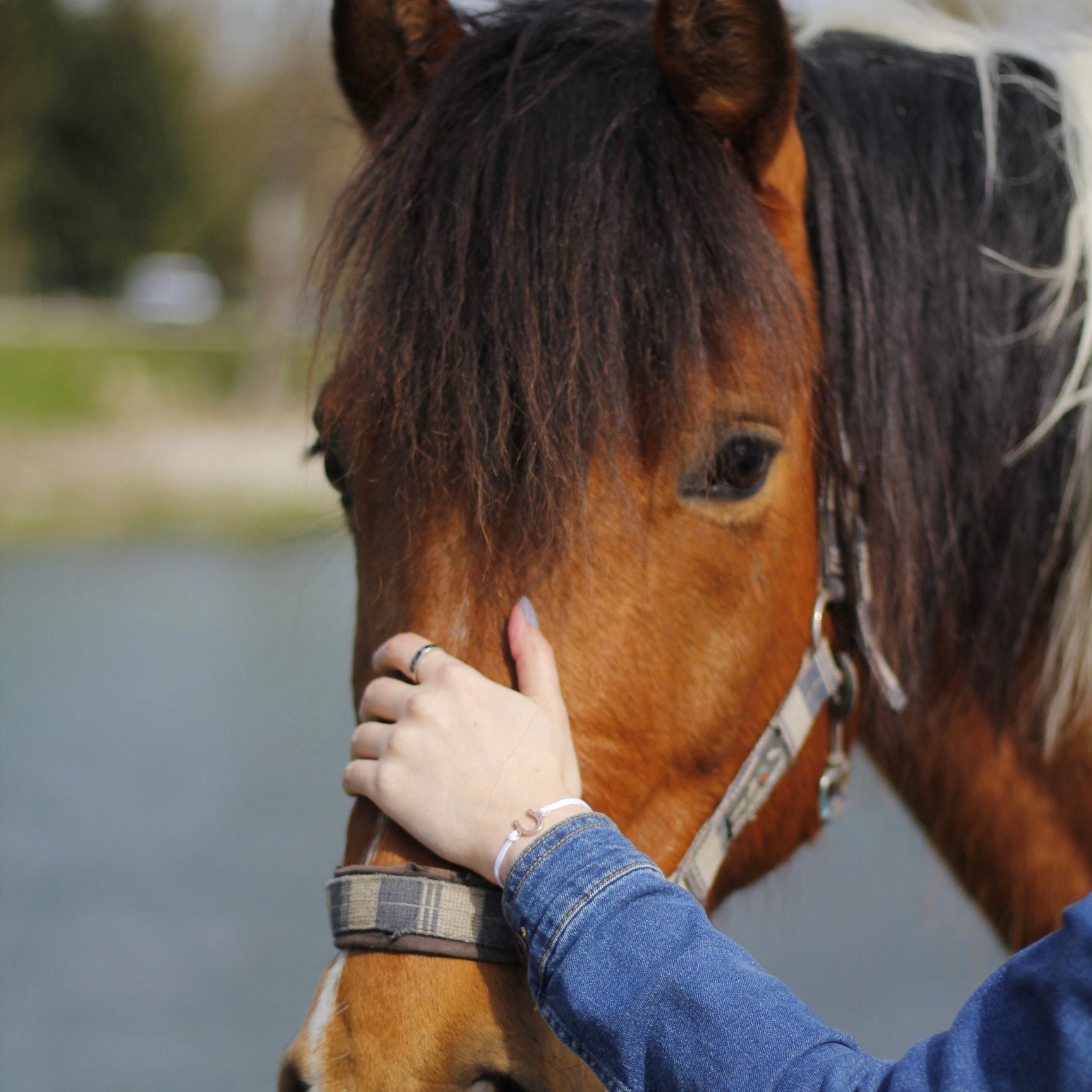 Grace Pferdereiter Armband